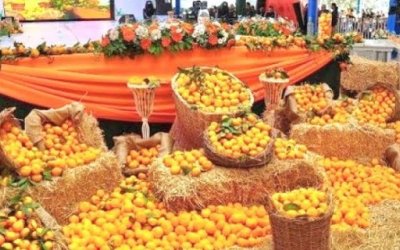 ADANA PORTAKAL ÇİÇEĞİ FESTİVALİ - GÜNÜBİRLİK