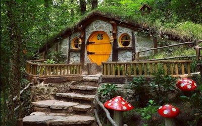 Kartepe Maşukiye Tour