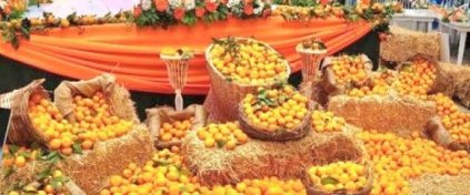 Varal Turizm | Ankara Çıkışlı Turlar